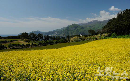 죽도 (사진=투어2000 제공)