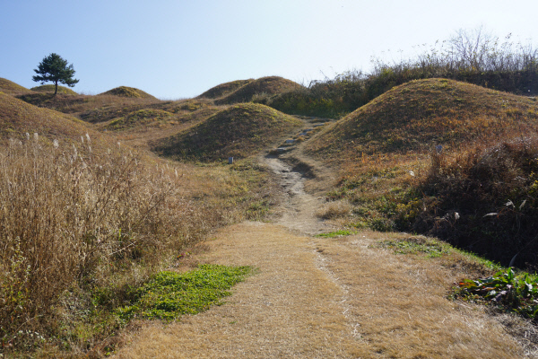 대구올레 6코스 중 불로동고분군