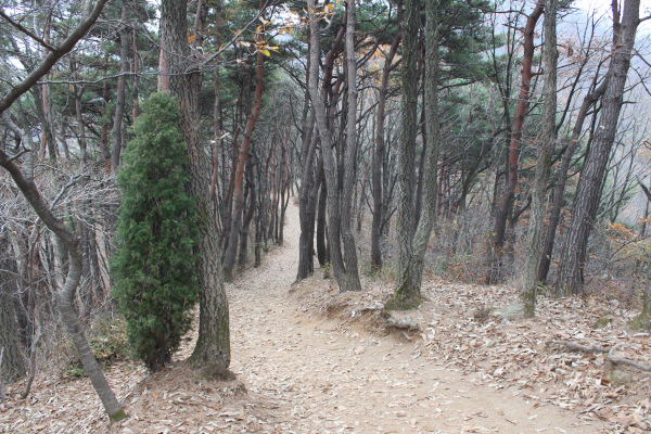 칠삽산솔바람길 1코스