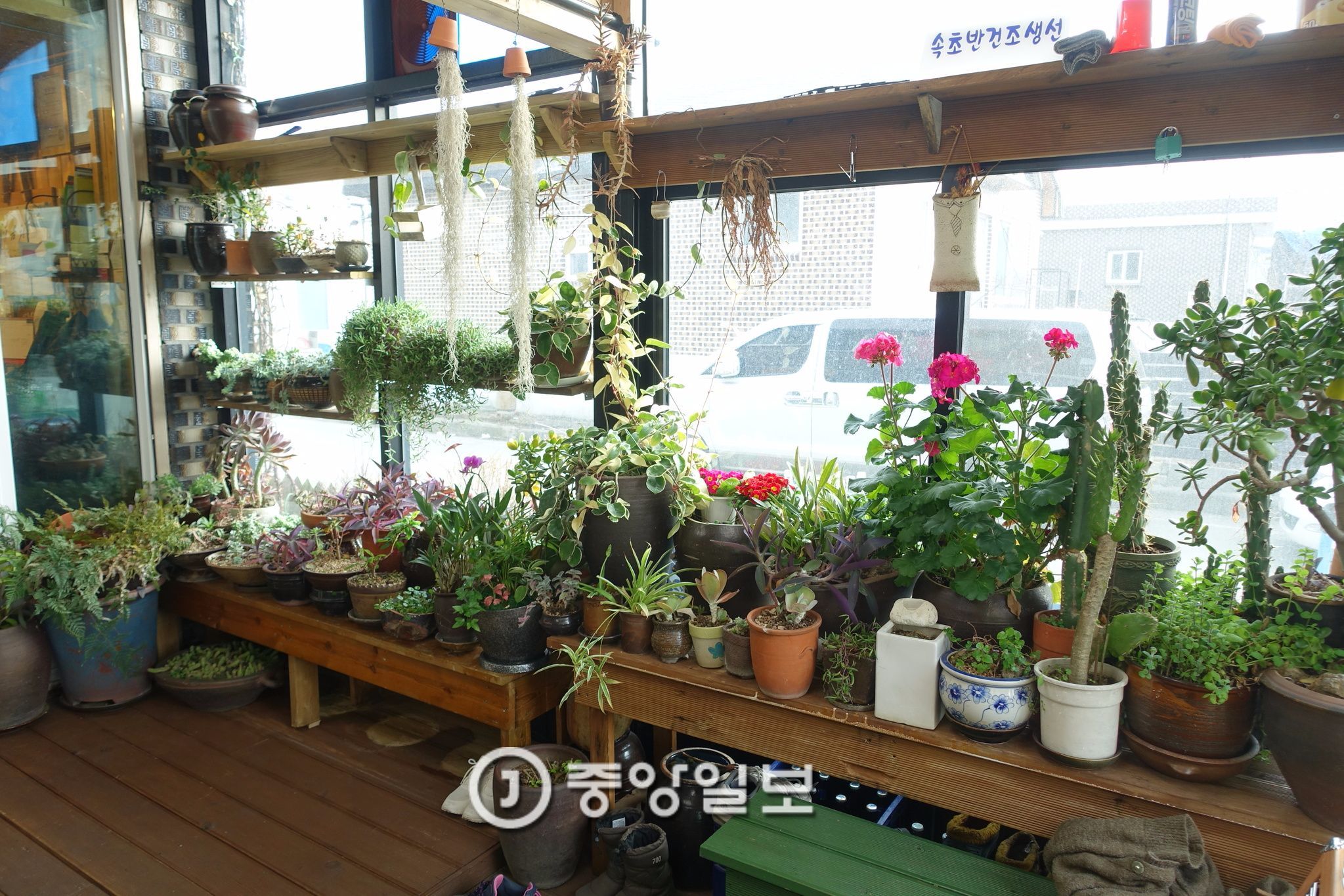 옥이네밥상 이미지