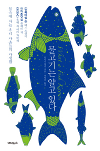 피시포유 이미지