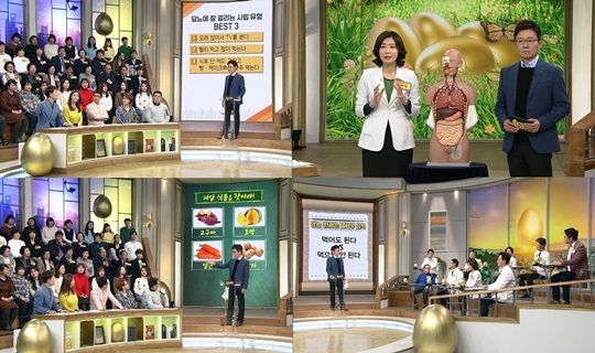 황금알 이미지