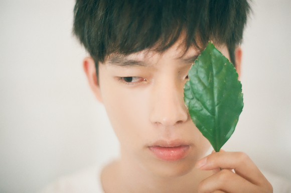 데이원더뮤직 이미지