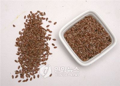 우리씨드 이미지