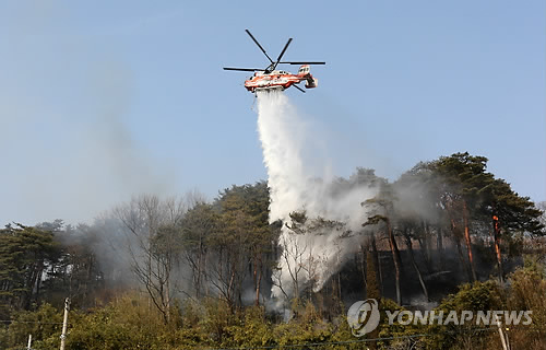 강릉인력 이미지