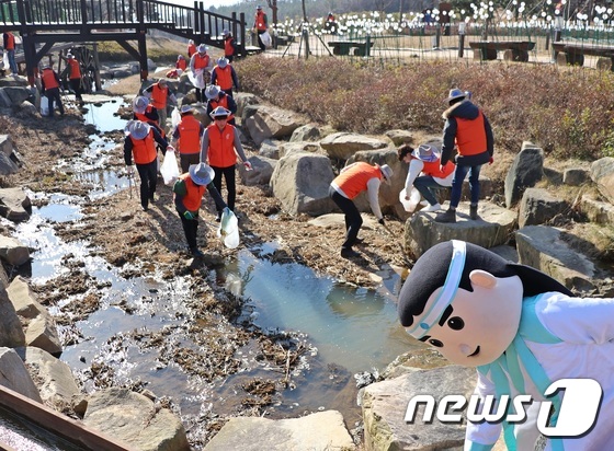 가야클린 이미지