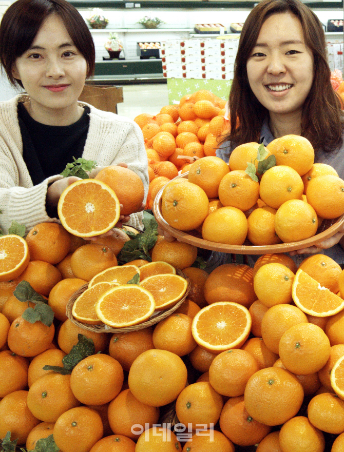 오렌지유통 이미지
