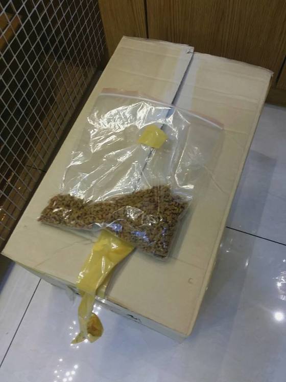 고양이편지 이미지