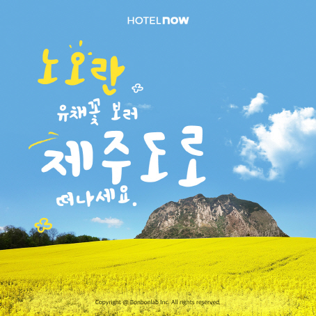 몽드로제주 이미지
