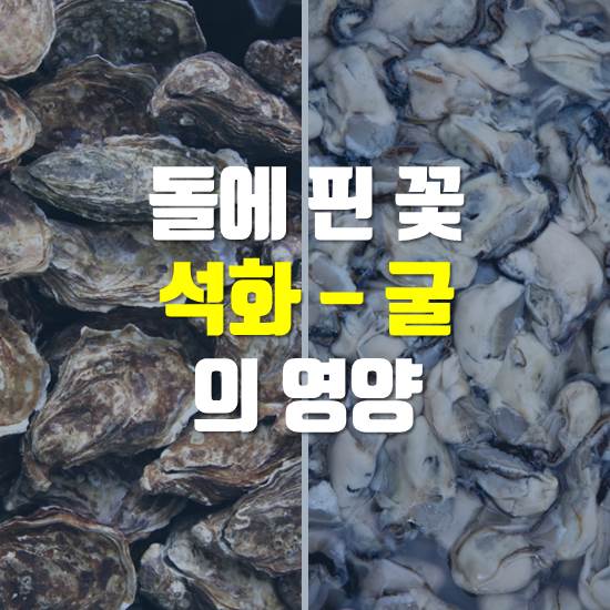 석화 이미지
