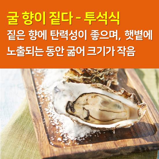 석화 이미지