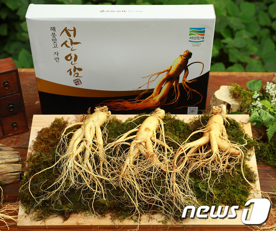 플러스인삼 이미지