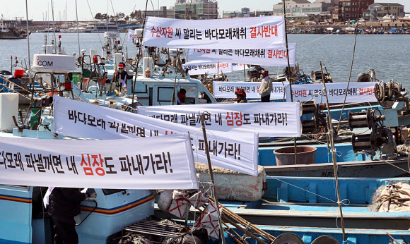바닷 이미지