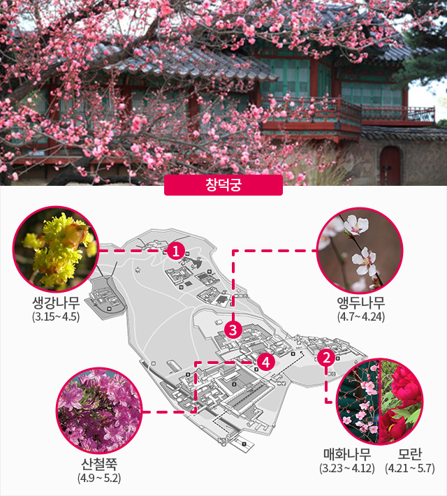 아희 이미지