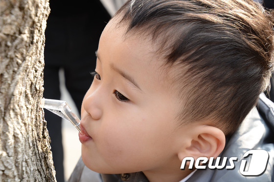 미산1리고로쇠마을 이미지