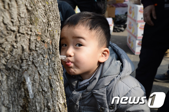 미산1리고로쇠마을 이미지