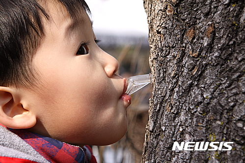 미산1리고로쇠마을 이미지