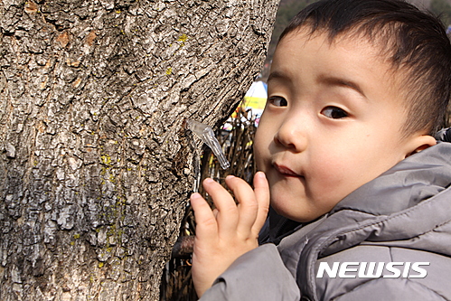 미산1리고로쇠마을 이미지