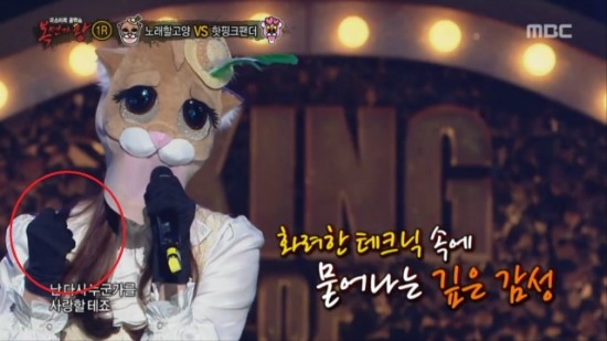 고양제비 이미지