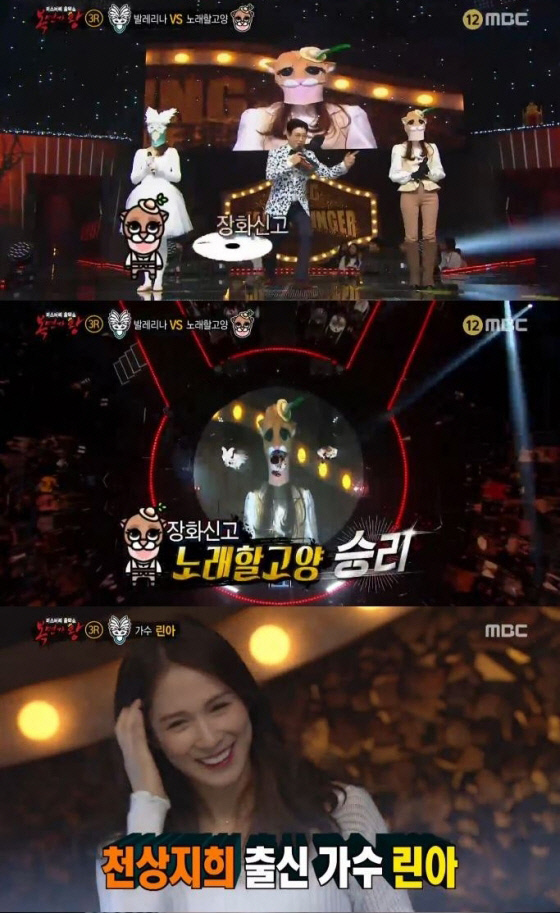 고양제비 이미지