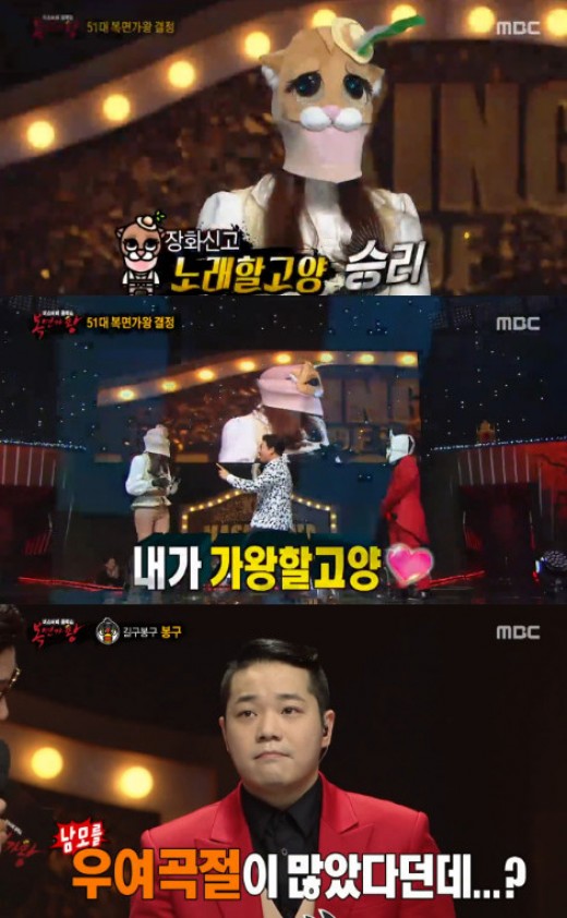 고양제비 이미지