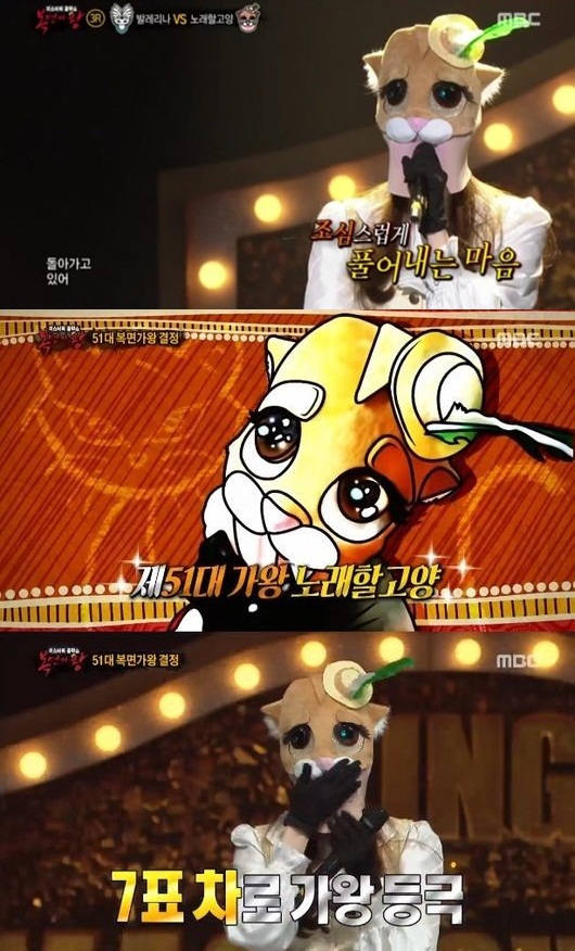 고양제비 이미지