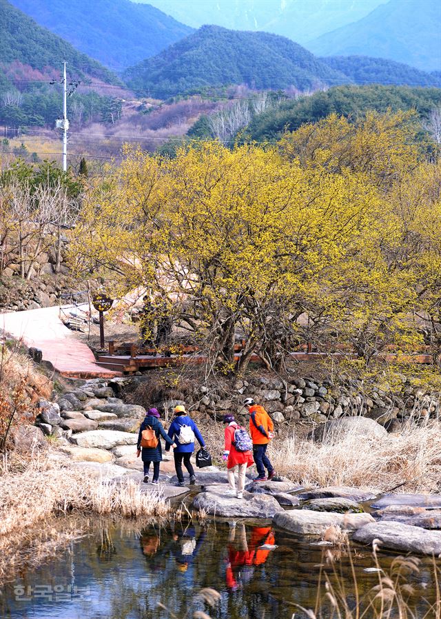 서시천이 흐르는 반곡마을.