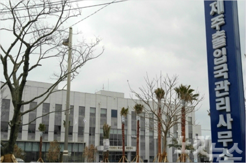 제주890 이미지