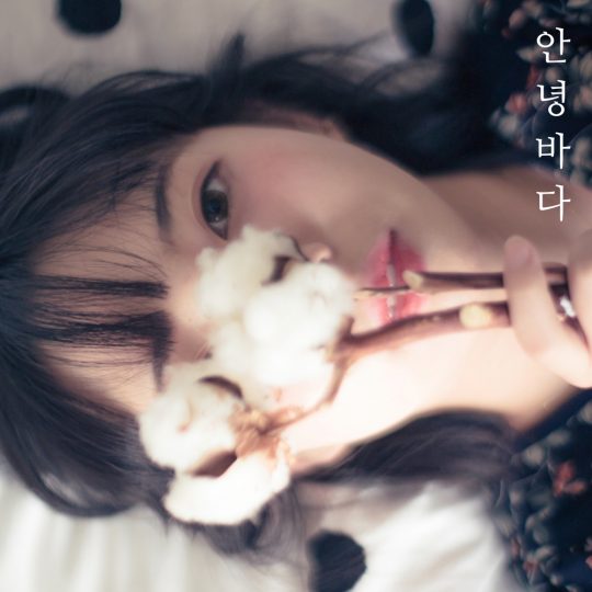 안녕바다 이미지