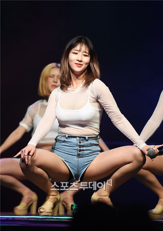 솜 이미지