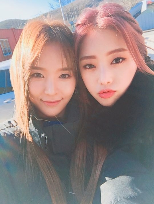 루시 이미지