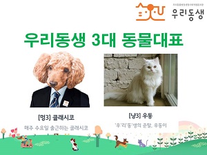  3 11 缱 츮 3 ǥ Ŭ() 쵿(). Ŭ, 쵿  Ѷ ƴ      ູϰ  ִ.