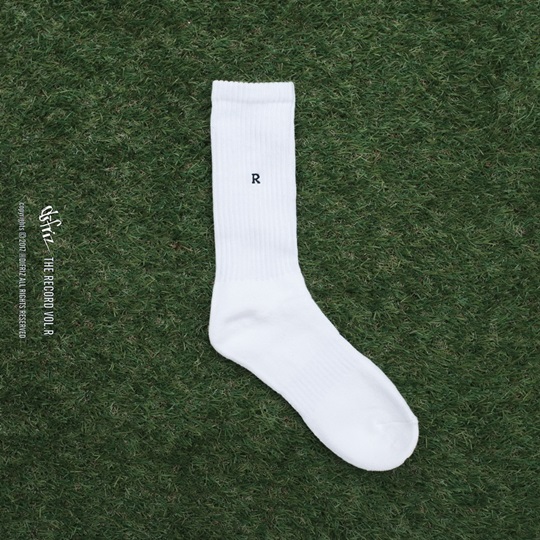 프리즈 이미지
