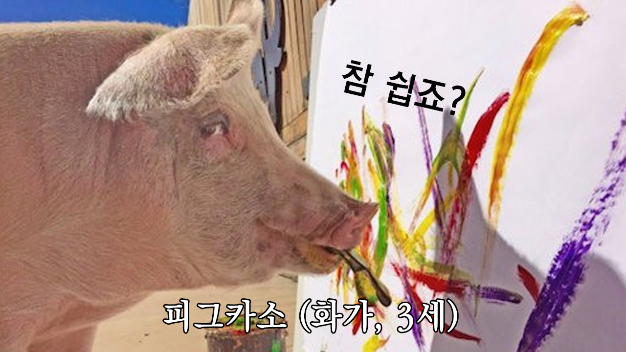 돼지공화국 이미지