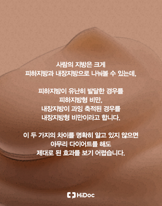 빼는 법도 다르다, 내장지방 vs 피하지방