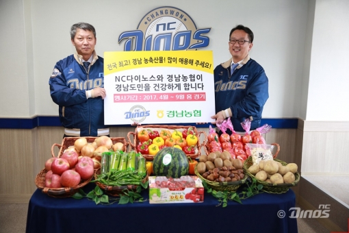 다이노스스포츠 이미지