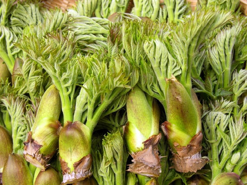 순창슈퍼 이미지