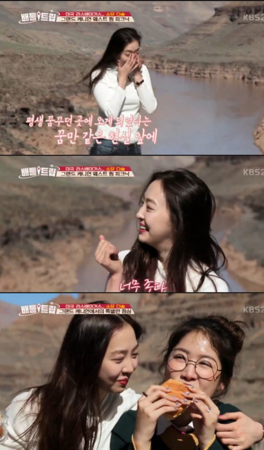 다솜투어 이미지