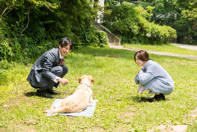 여느날 이미지