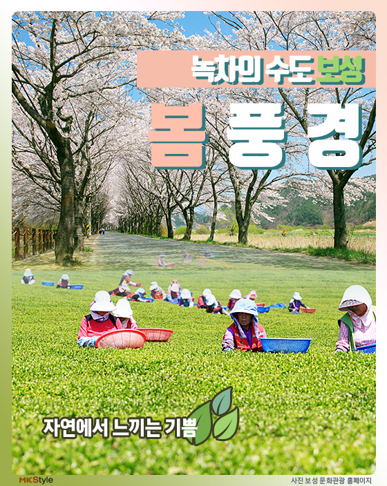 보성인쇄 이미지