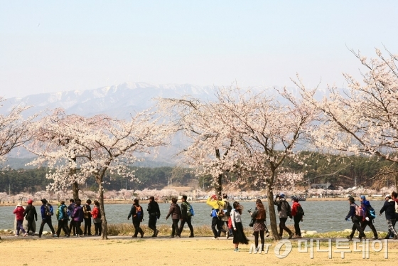 경포호수를 함께 볼 수 있는 강릉의 해파랑길 39코스/사진제공=한국관광공사