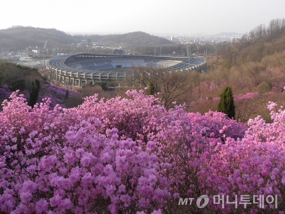 부천둘레길 1코스의 원미산. '진달래동산'으로 유명하다. /사진제공=한국관광공사