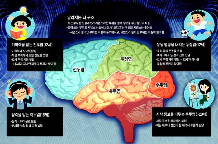 지성전기 이미지