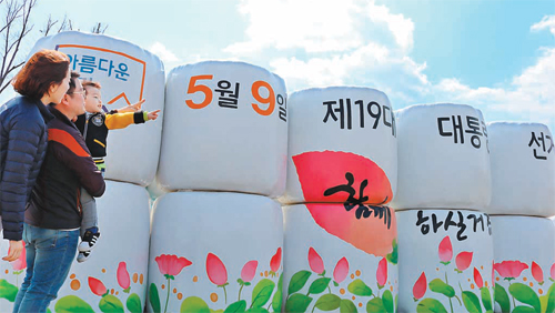 더미 이미지
