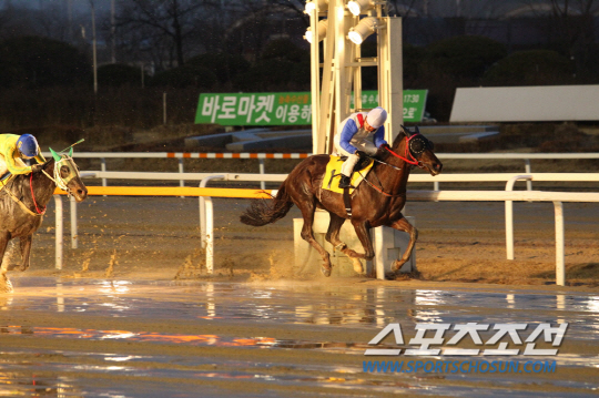 베스트가이 이미지
