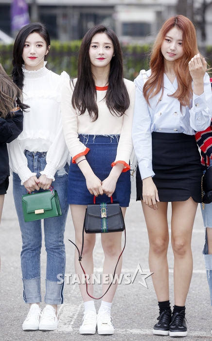 미모 이미지