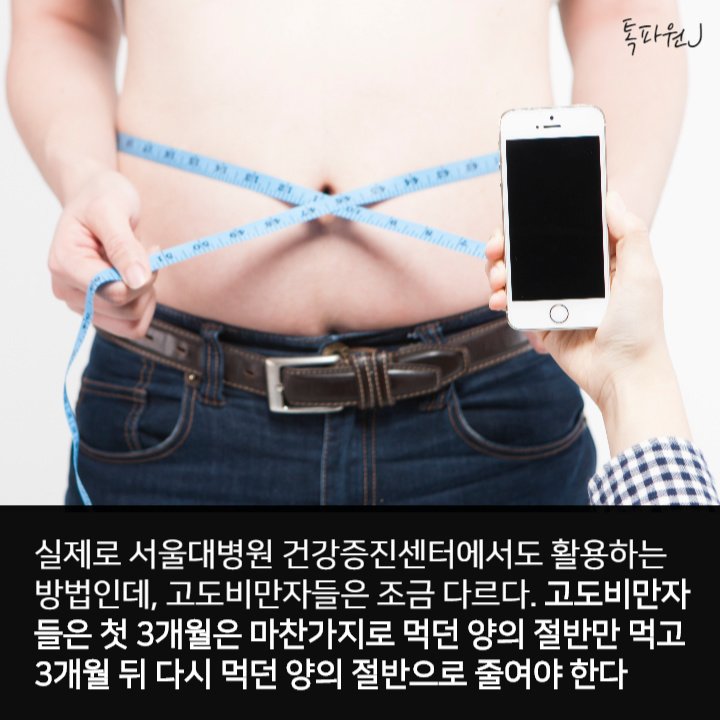 정석 다이어트법