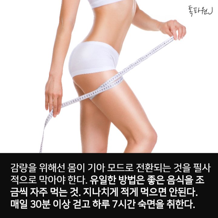 정석 다이어트법