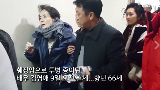 김영애 이미지