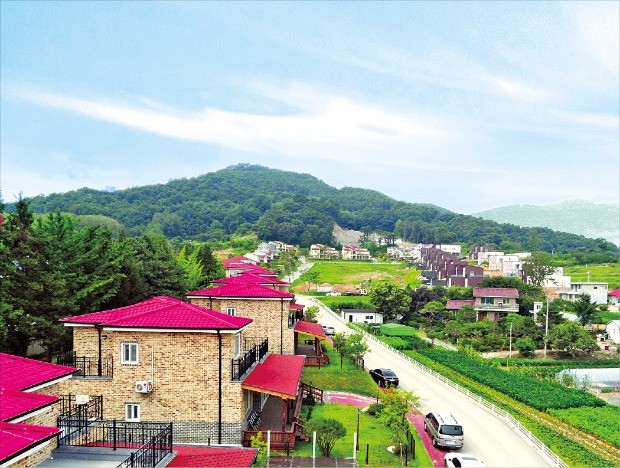 포커스렌탈 이미지